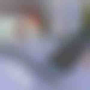 Napellenző autóhoz és ablakhoz | SUNGUARD