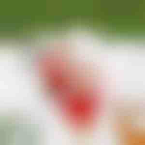 SANTACLIMB A Mikulás kötélen mászik