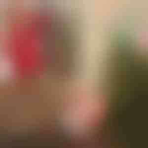 Mikulás ejtőernyővel | SANTASWING