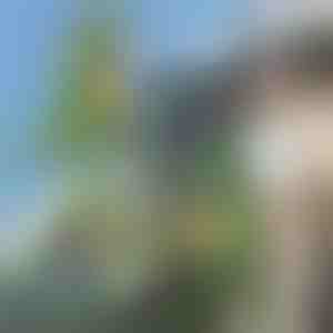 3D dinoszaurusz alakú hátizsák | DINOBACK