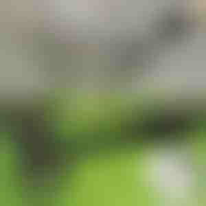 Gyomirtó eszköz | RUNCO