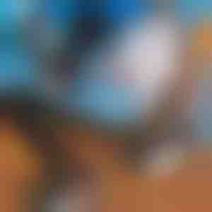 Állítható síléctartó vállpánt | SKITREK