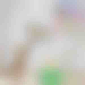 Elektromos ingerlő macskajáték madár alakban| BIRDIETOY