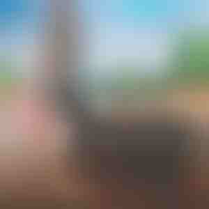 Könnyen csomagolható utazótáska | FOLDARA