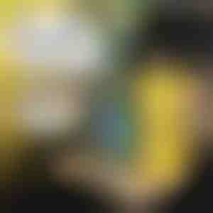 Autó tálca gyermekeknek | MUNCHI