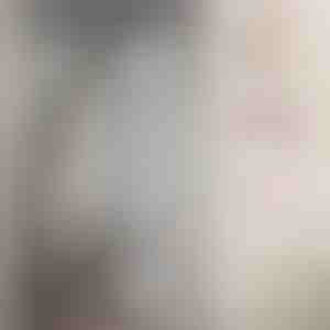 Mágneses szúnyogháló ajtóra | INSECTPROTECT