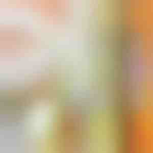 Többcélú aprító | SLICEWISE