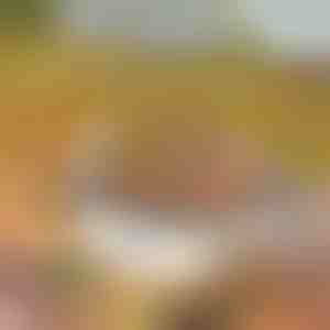 Hordozható grill | GRILLSTER