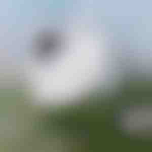 Erőfeszítés nélküli ablakpucolás | WINDOWSWIPE