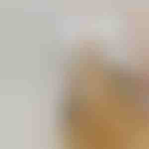 Újratölthető gőzpermetező kisállat kefe vedléshez | GROOMSY