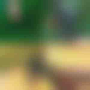 Professzionális 2 az 1-ben metsző- és oltóolló | MASTERCUT