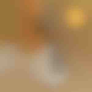 Hajlítás nélküli cipősegítő | SHOEVA