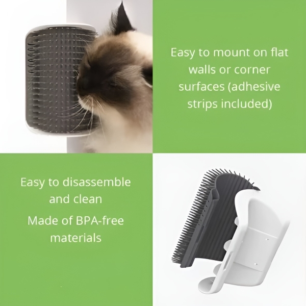 CATGROOM-3831127643348-EN-5__210326