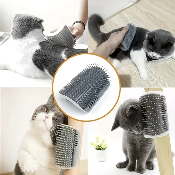 CATGROOM-3831127643348-N-2__210326